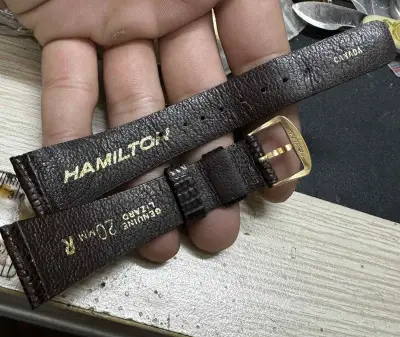 Hình ảnh bài viết