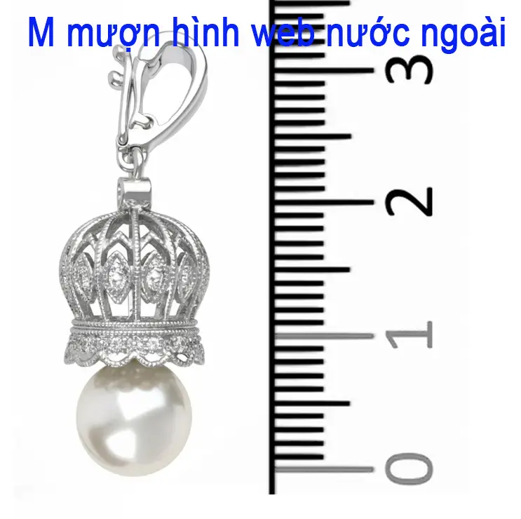 Hình ảnh bài viết